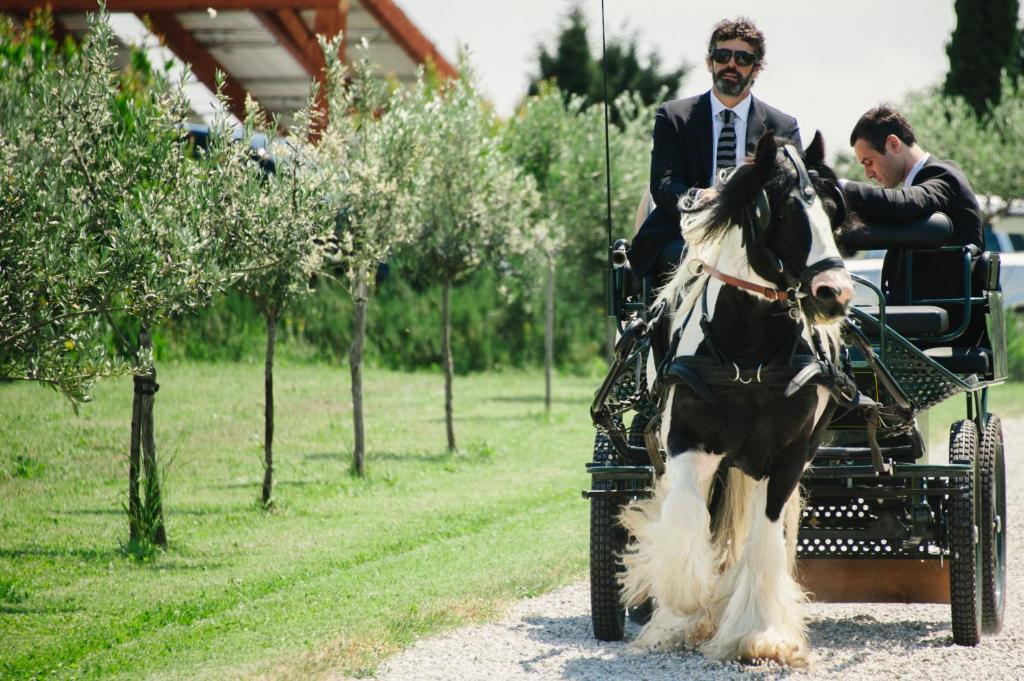B&B カビアンカ デッラッバデッサ サン・ラッザロ・ディ・サーヴェナ エクステリア 写真